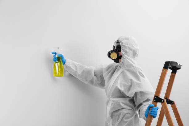 Why You Should Choose Our Mold Remediation Services in Storm Lake, IA